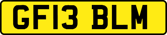 GF13BLM