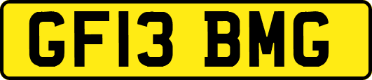 GF13BMG