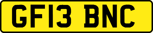 GF13BNC