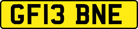 GF13BNE