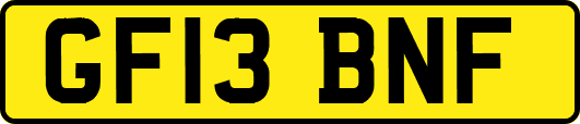 GF13BNF