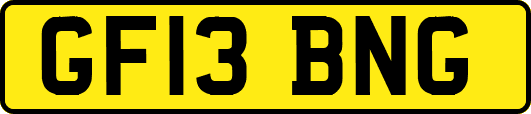 GF13BNG