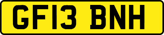 GF13BNH