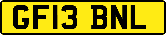 GF13BNL