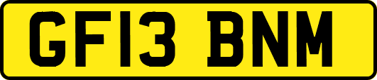 GF13BNM