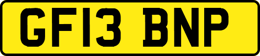 GF13BNP