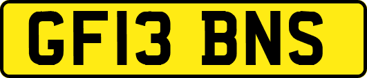 GF13BNS