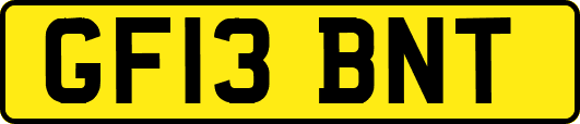 GF13BNT