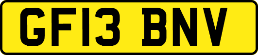 GF13BNV