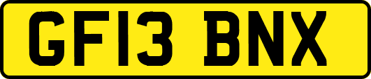 GF13BNX