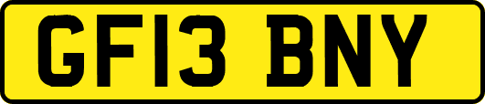 GF13BNY
