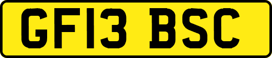 GF13BSC