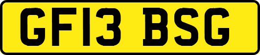GF13BSG