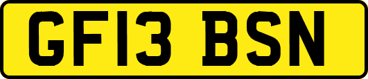 GF13BSN