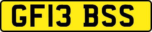GF13BSS