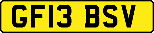 GF13BSV