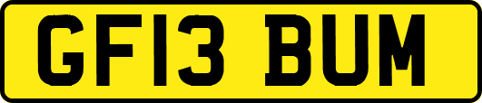 GF13BUM