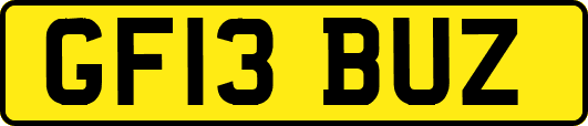 GF13BUZ
