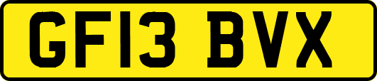 GF13BVX