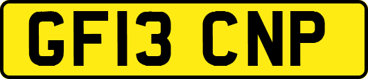 GF13CNP