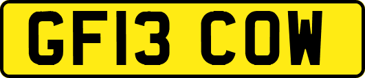 GF13COW