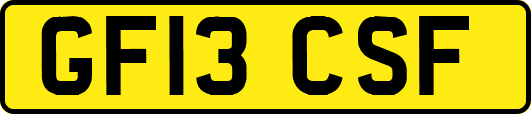 GF13CSF