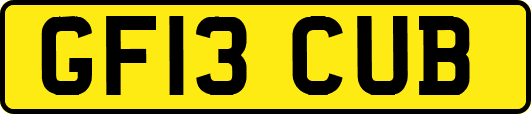 GF13CUB