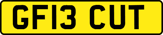 GF13CUT