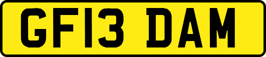 GF13DAM