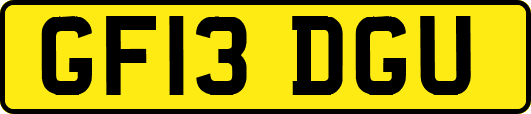 GF13DGU
