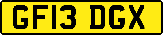 GF13DGX