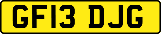 GF13DJG
