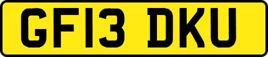 GF13DKU