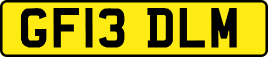 GF13DLM