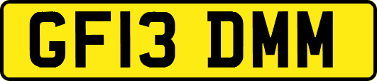 GF13DMM