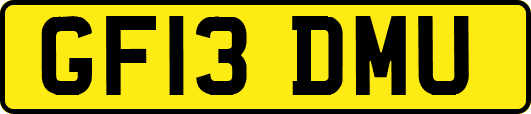 GF13DMU