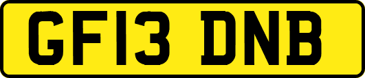 GF13DNB