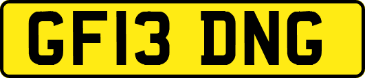 GF13DNG