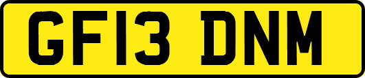 GF13DNM