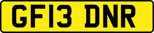 GF13DNR