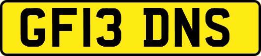 GF13DNS