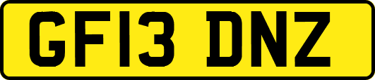 GF13DNZ