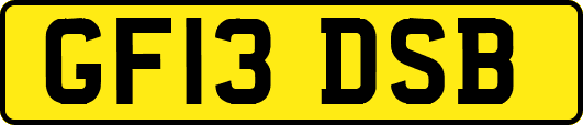 GF13DSB