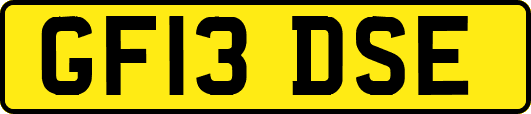 GF13DSE
