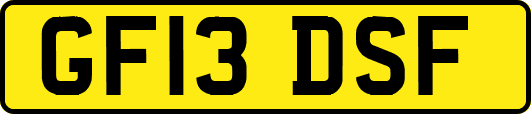GF13DSF