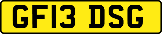 GF13DSG