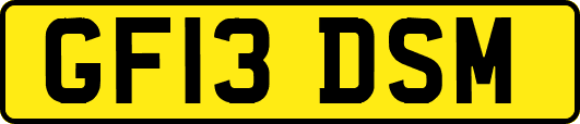 GF13DSM