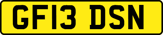 GF13DSN