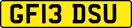 GF13DSU