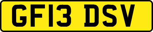 GF13DSV